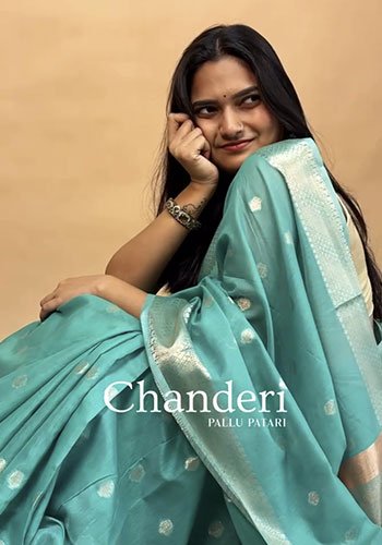 Pallu Patari