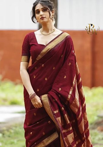 Paithani Weaves Yeola